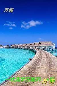 一枕清梦压星河:结局+番外榜单