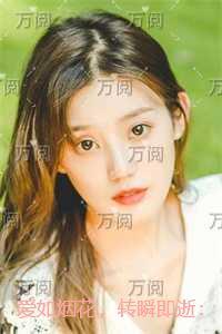 爱如烟花，转瞬即逝：全本小说