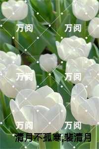 清月不孤寒，裴清月