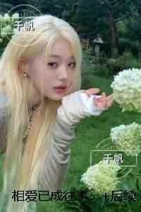 相爱已成往事:小说在线阅读