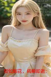 爱如烟花,转瞬即逝:小说大结局