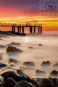 老公与我签下离婚对赌协议后我成全他:+后续+全文