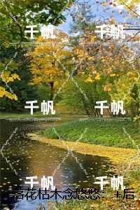 落花枯木念悠悠:免费阅读全文