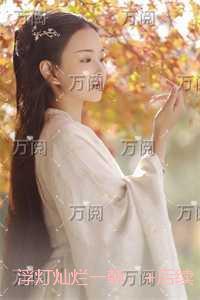 浮灯灿烂一朝:全文