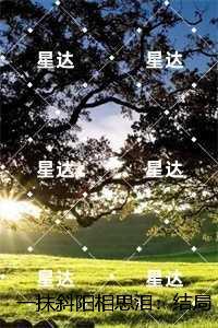 一抹斜阳相思泪:后续+必读