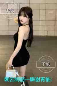 朝云绚丽一瞬谢青临：续集