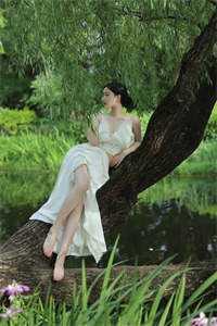 一梦如初宝珠宝银大结局