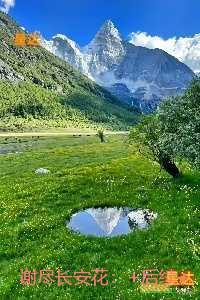 谢尽长安花：番外+无删减