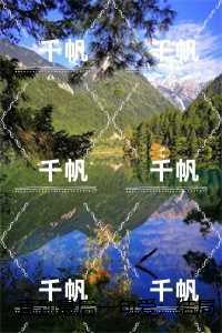 直到最后一句爱:优质全文阅读