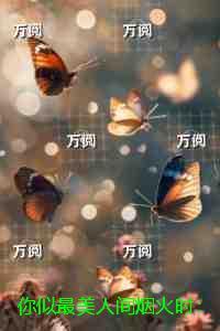 你似最美人间烟火时:后续更新