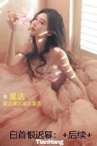 白首恨迟暮:言情作品