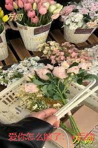 爱你怎么能了：后续+结局