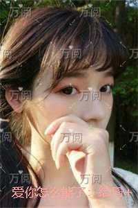 爱你怎么能了:小说免费阅读