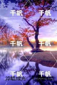 淬暗成光：免费结局+后续高分完本