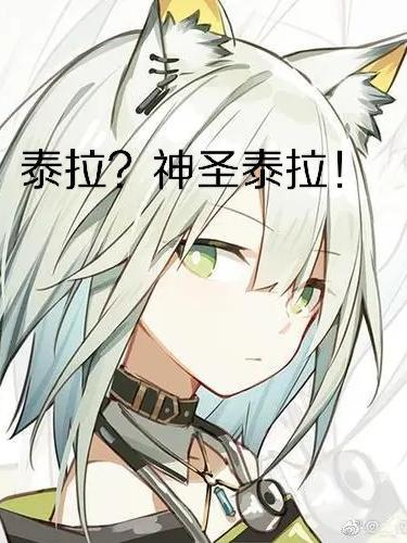 和全网黑妹妹参加综艺后我爆红了 北斗天枢