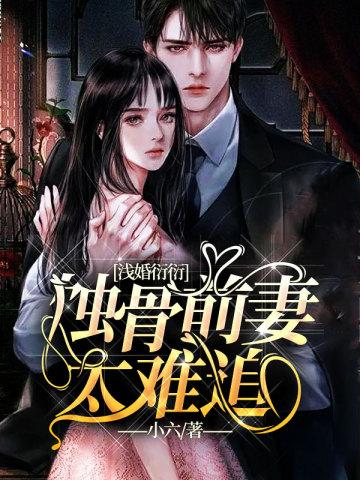 迷雾之子2·升华之井