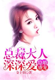 隐婚盛宠:总裁大人深深爱