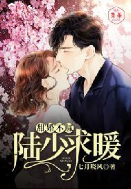 甜婚不腻:陆少,求暖
