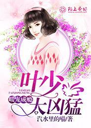 暖宠成瘾,叶少太凶猛